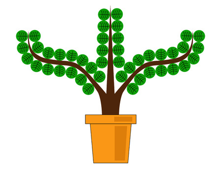 plant with round leaves in the potのイラスト素材