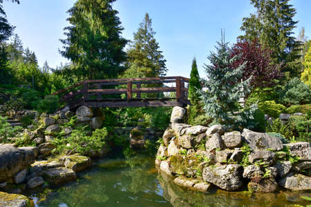 Beautiful Japanese garden, wonderful trees, plants, water and stones.の写真素材