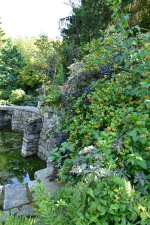 Beautiful Japanese garden, wonderful trees, plants, water and stones on a summer day.の写真素材