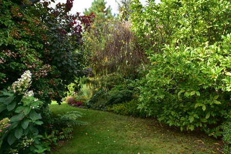 A natural garden in autumn colors on a clear October day.の写真素材
