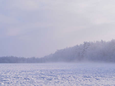 Winter landscape of snow-covered forest, foggy and cold February morning.の写真素材