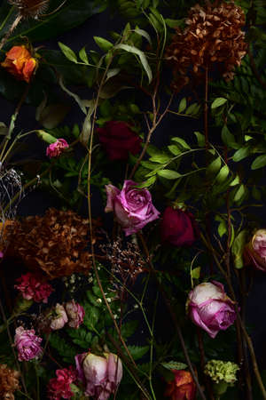 Image with dry flowers of roses, carnations and green plants on a black background.の写真素材