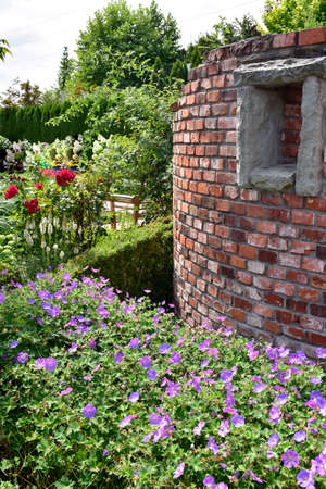Show garden, English style with red brick wall and plants on a sunny summer day.の写真素材