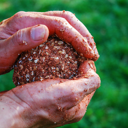 Protein ball in hand, bait for fish. Fishing ball for carp.の写真素材
