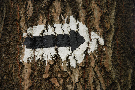 Black and white sign on a tree painted with paint. The arrow indicates a change in the direction of...