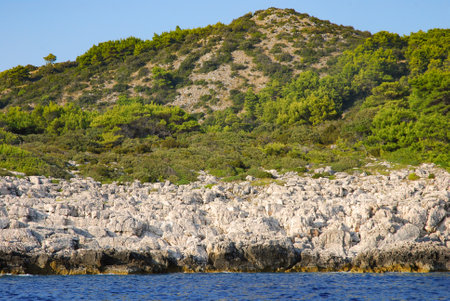 Rocky coast of the Adriatic Sea covered with pine forest. Croatia coastline.の写真素材