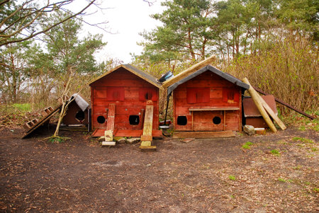 A handmade wooden house for homeless cats. Shelter for abandoned and feral cats in the park. Miedzyzdroje, Poland.の写真素材