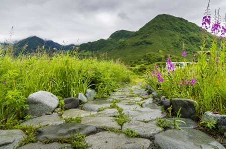 The landscapeの写真素材