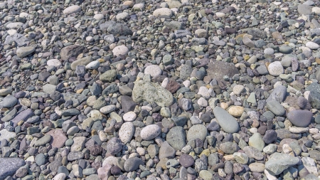 pebblesの写真素材