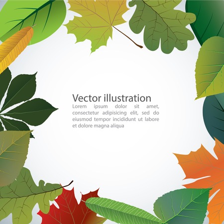 Vector of autumn colorful leaves. Frame for textのイラスト素材
