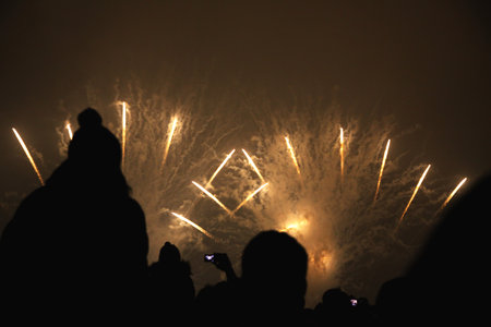 ZURICH - JANUARY 1, 2011  People watching New 2011 Yearのeditorial素材