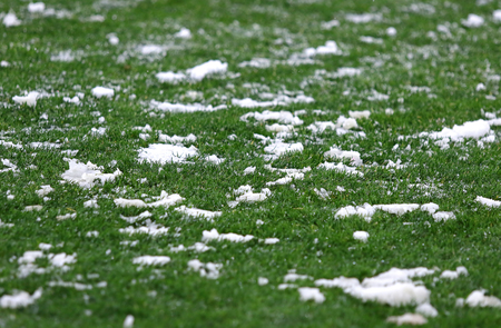 Green grass on a football soccer field covered with a snowの写真素材