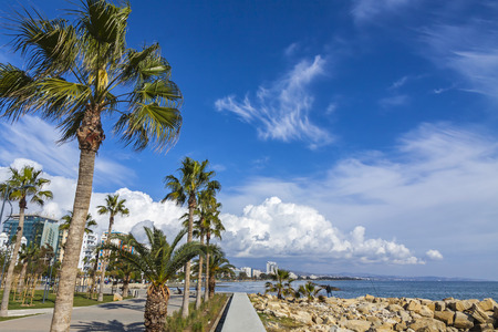 Promenade alley at Molos Park in center of Limassol city, Cyprusの写真素材