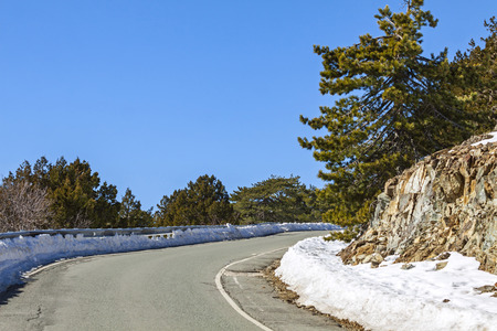 Empty curved road passing through the pine forest in winter. Troodos mountains, Cyprusの写真素材