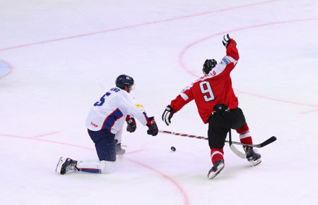 KYIV, UKRAINE - APRIL 27, 2017: Alexander RAUCHENWALD of Austria (R) fights for a puck with Bryan William YOUNG of South Korea during their IIHF 2017 Ice Hockey World Championship Div 1A game in Kyivのeditorial素材