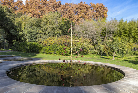 Decorated Christmas tree in the pond in Botanical Garden (Jardin Botanico-Historico La Concepcion)...