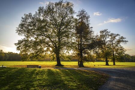 Rosenthal forest park in Leipzig city, Saxony, Germany.の写真素材