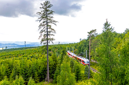 High Tatras, Slovakia - July 2018: Tatra Electric Railways (TEZ-TER) train (also known as "Tatra tram") goes through the forest near Tatranska Polianka stop in High Tatras mountains, Slovakiaのeditorial素材