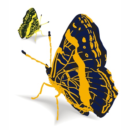 Two bright butterflies on a white backgroundのイラスト素材