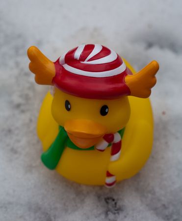 Toy Christmas reindeer duck in the snowの写真素材