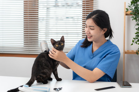 Veterinarian woman in blue uniform is using a hair dryer for a lovely cat on a metal table after cleaning pet in veterinary clinic.の写真素材