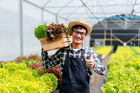 Young man smart farmer smiling working and bear basket on shoulder organic hydroponic vegetable to preparing export to sell.の写真素材