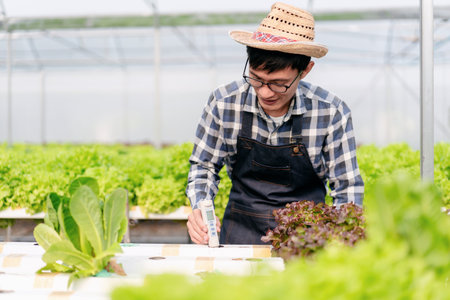 Agribusiness farmer and hydroponic farming concept, Man using pH meter to testing and control water system of hydroponics farm for salad vegetables plantation in greenhouse.の写真素材