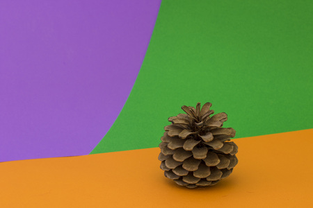 Brown cone on bright orange green violet backgroundの写真素材