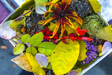 Autumn colorful flowers and yellow leaves collected in one boxの写真素材