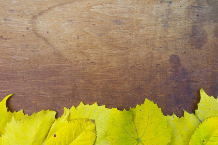 Yellow and green photo with autumn flowers and leaves on wooden backgroundの写真素材