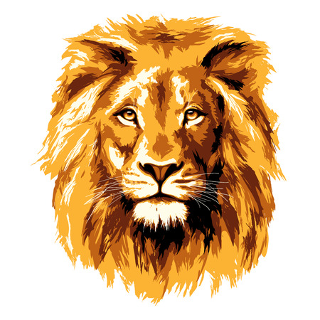 Big fiery lion Big fiery lion