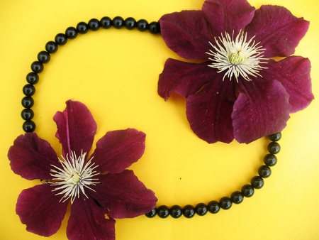 greeting card with purple flowers and pearls on a yellow backgroundの写真素材