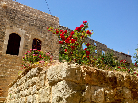 Amazing old House Entrance with a huge tree, located in old lebanese village Dibbiye, Mount Lebanonの写真素材