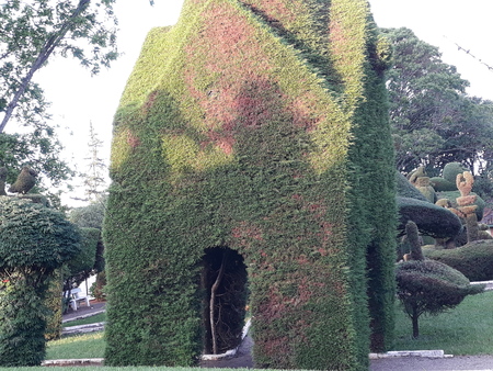 carved on the plants with beautiful gardwening, animals and peopleの写真素材