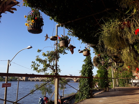 a house full of plants, flowers and birds beside the riverの写真素材