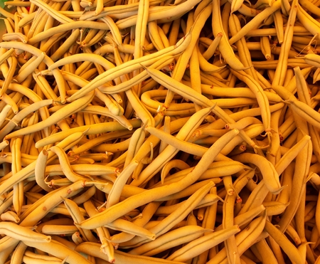 yellow pods exposed in a gondola at the fairの写真素材