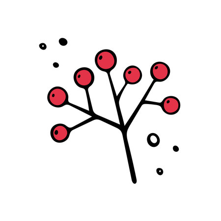 Hand drawn rowan branch, autumn element. Vector illustration in Doodle style. Isolated on white. Cartoon illustrationのイラスト素材