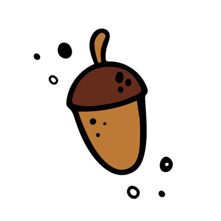 Hand drawn acorn. Vector illustration in Doodle style.のイラスト素材