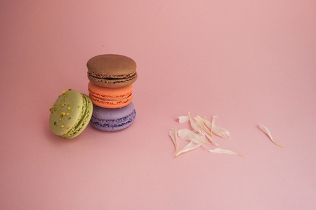 Four delicious french dessert macarons on multicolored background with flower petals and text space.の写真素材