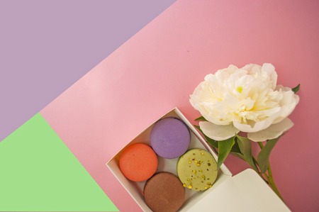 Colorful delicious french dessert macarons in a box and a beautiful white peony on pink, purple and green background.の写真素材