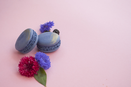 Sweet french macaroons flower petals and berriens on pastel pink background with text space.の写真素材