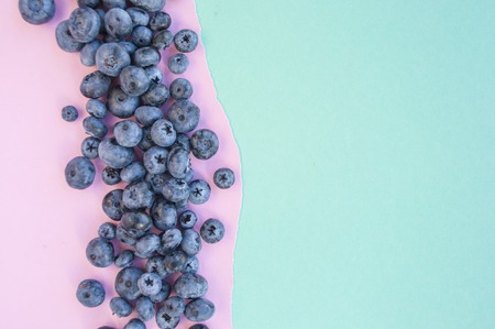 Delicious freshly picked bluberry on blue and pink background with copyspace. Blueberry border design.の写真素材