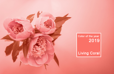 Top view of living coral color bouquet of peonies. Color of the year 2019 concept.の写真素材