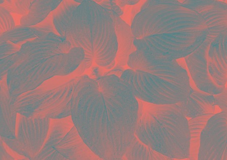 Creative background made of beautiful leaves in surrealistic. Color of 2019 concept.