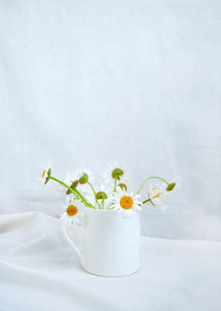 Bouquet of wild daisies in a white ceramic mug on white table with copy space.の写真素材