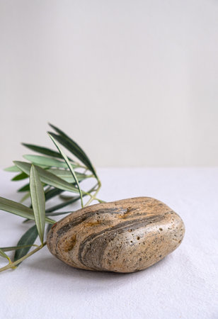 Abstract nature scene with composition of stones, wire and green olive tree branch. Neutral beige background for cosmetic, beauty product branding.の写真素材