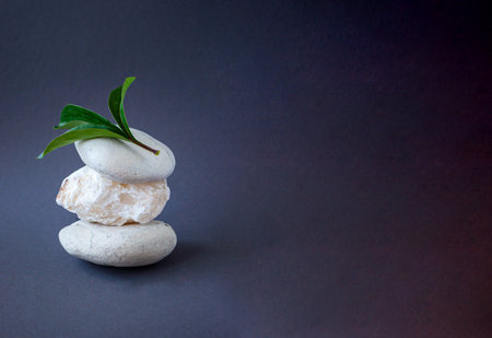 Abstract nature scene with composition of white stones and green leaves on dark background. Background for cosmetic, beauty product branding.の写真素材