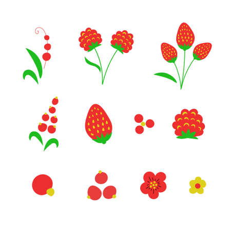 Strawberries, raspberries and currants.のイラスト素材