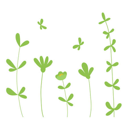 Plants and flowers. Nature elements for poster design. Illustration in flat styleのイラスト素材