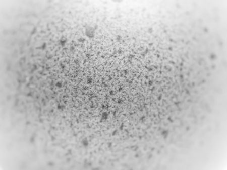 Closeup and abstract black and white egg texture.の写真素材